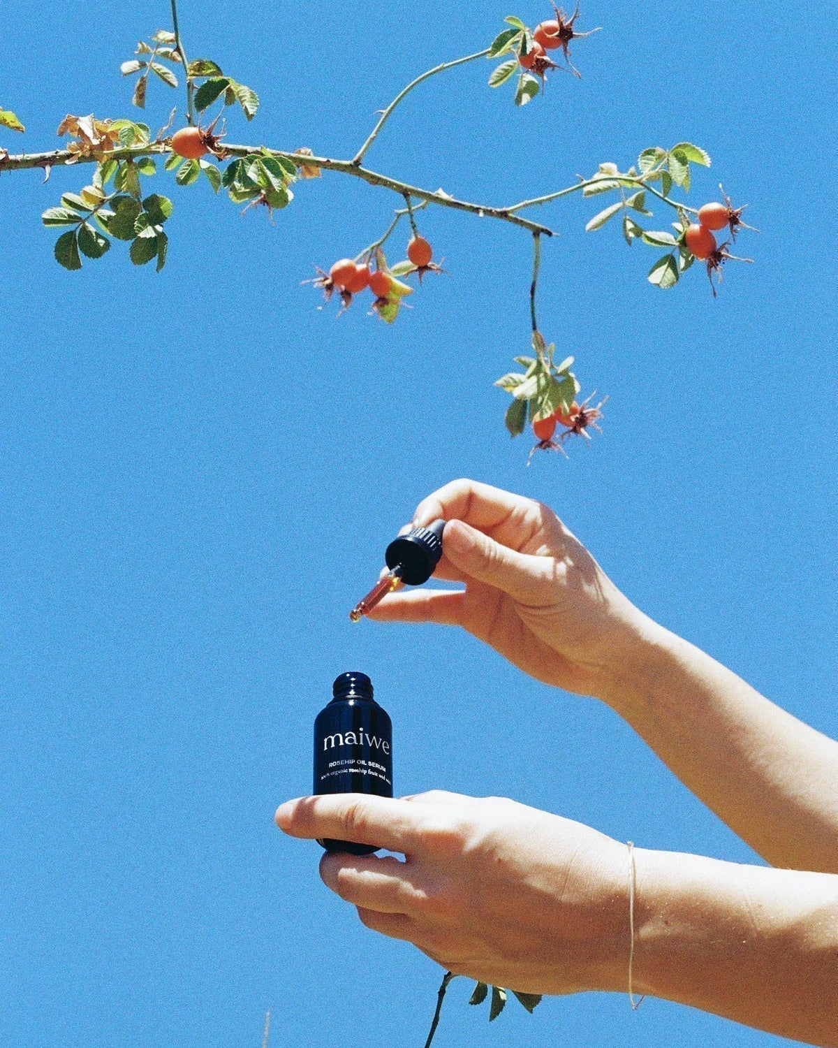 Berry to Bottle - The Story Behind our Rosehips