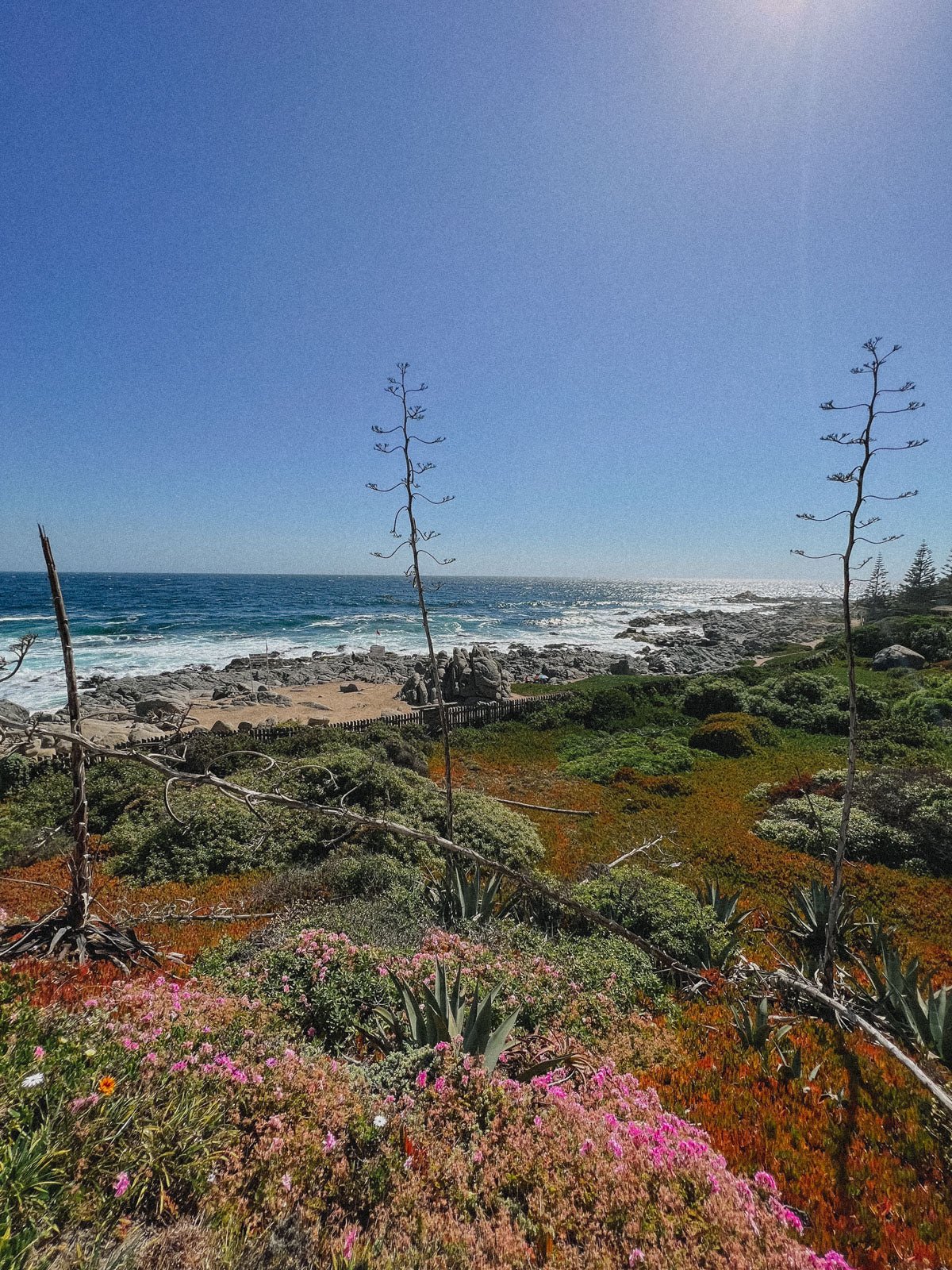 Isla Negra - MAIWE