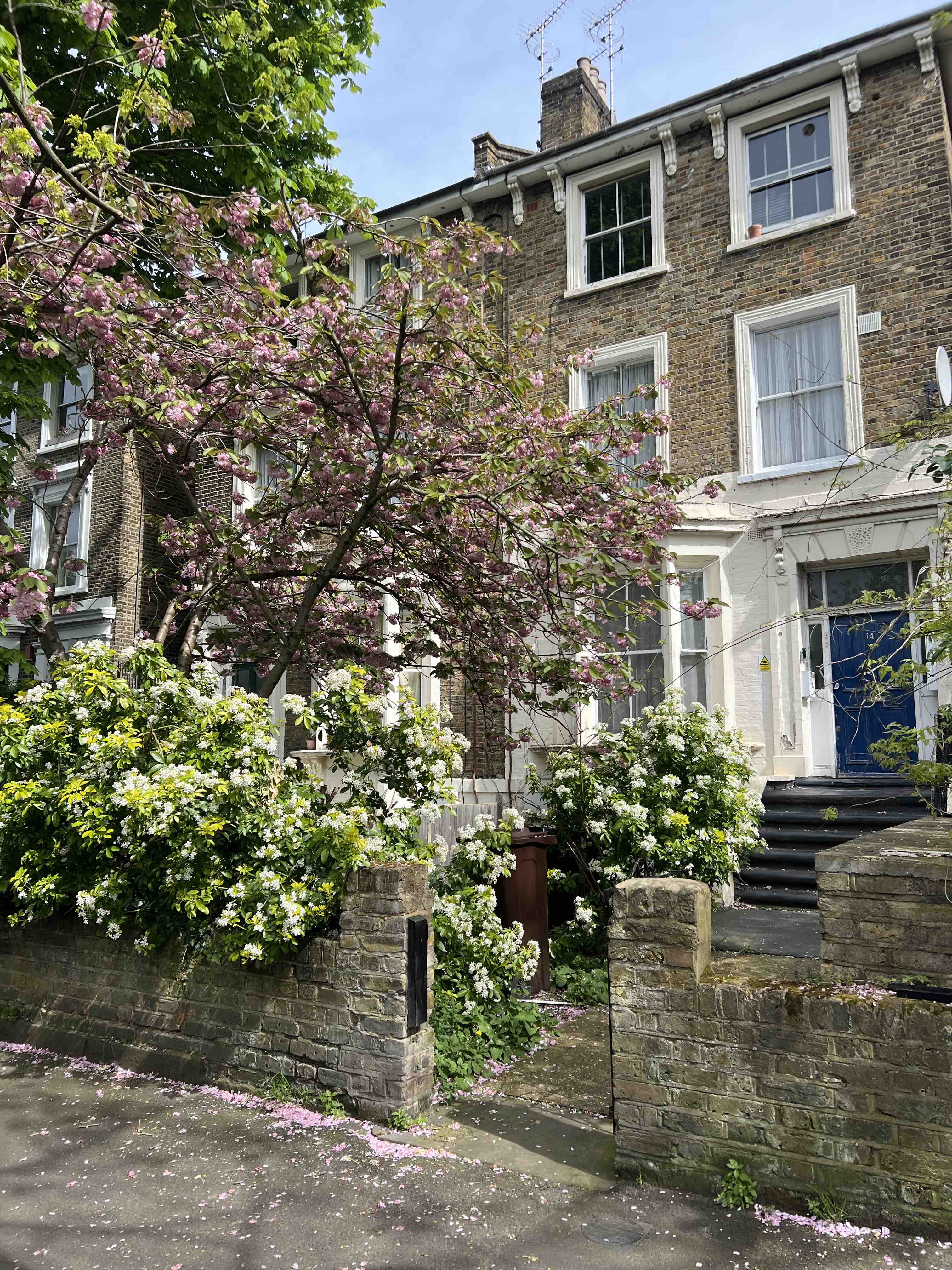 A Maiwe Guide to London