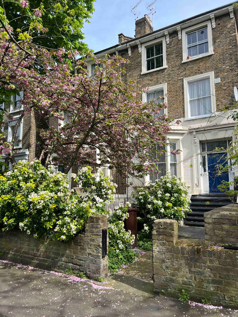 A Maiwe Guide to London