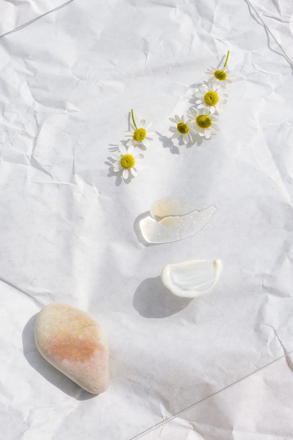 The Skin’s Microbiome - MAIWE