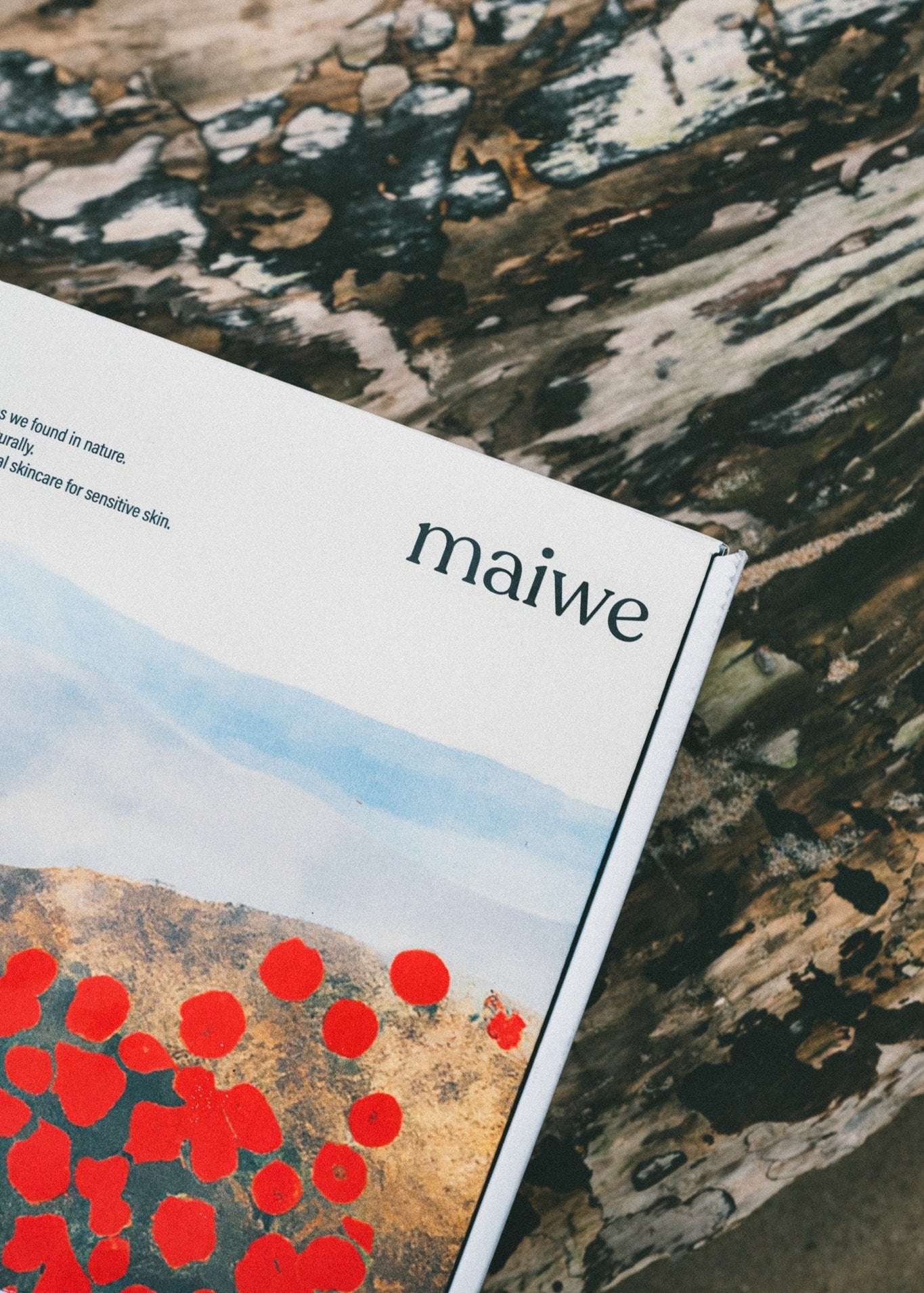 Discovery Set, image size:1365x1911